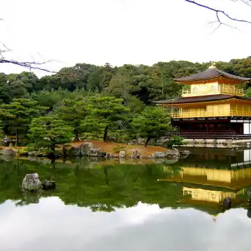 kinkaku ji