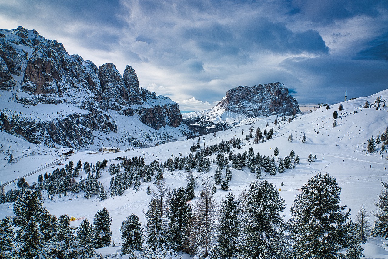 alberi foresta boschi nevicare