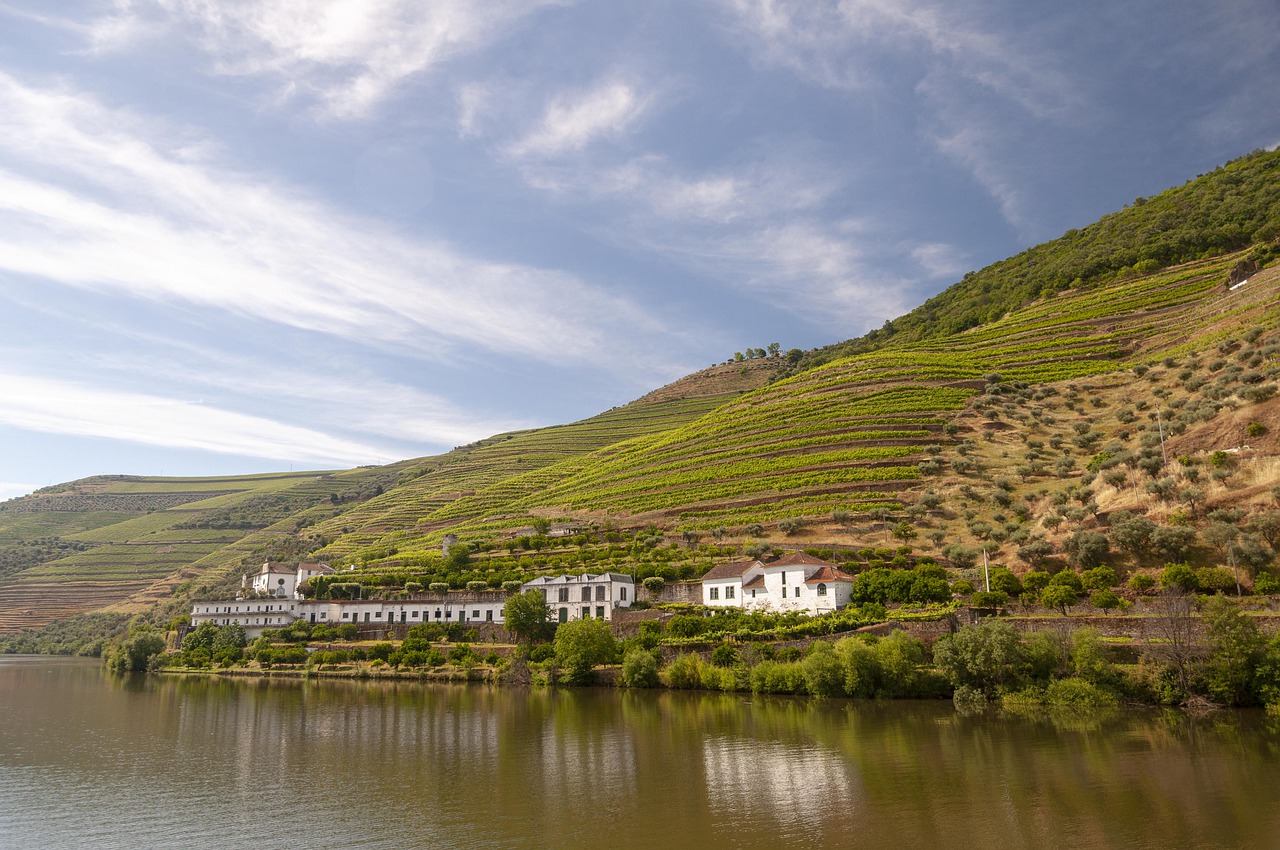 douro rio fattoria vino