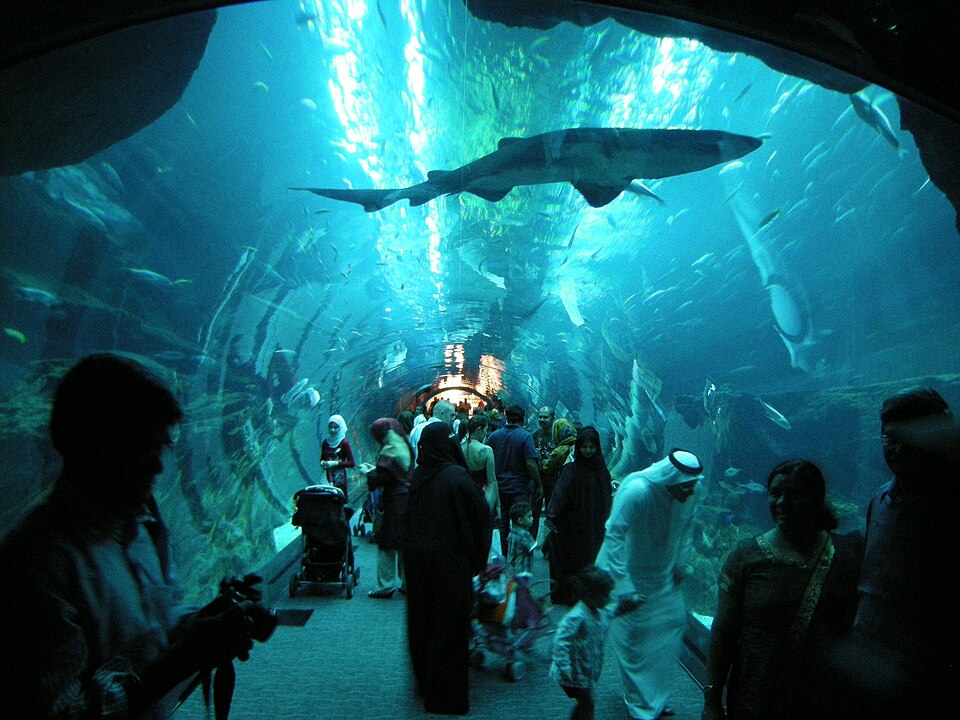 dubai aquarium 4129351332