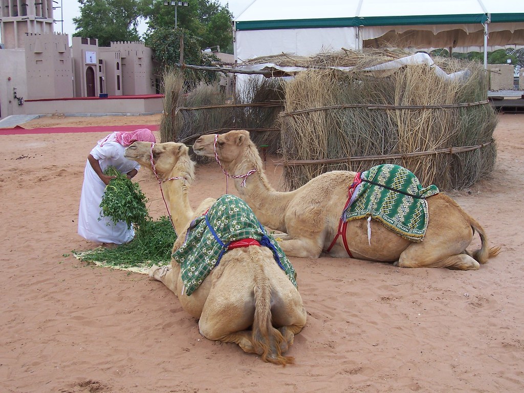 dubai heritage village