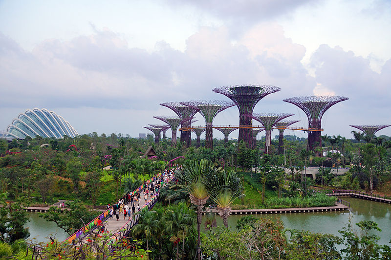 gardens by the bay