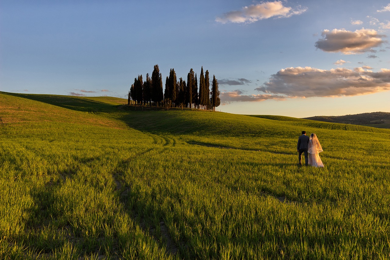 hills tuscany siena valdorcia