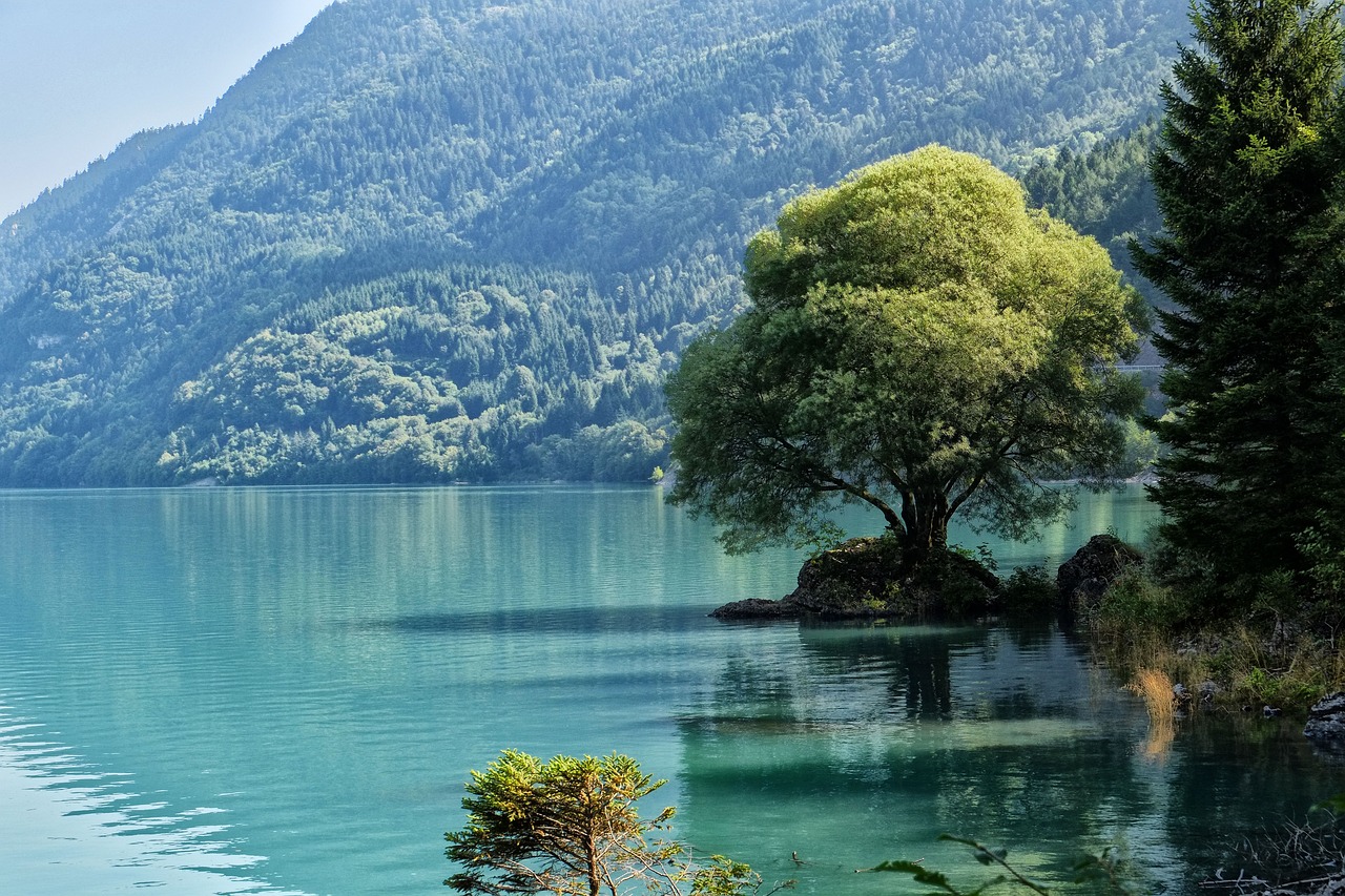 lago natura paesaggio trentino