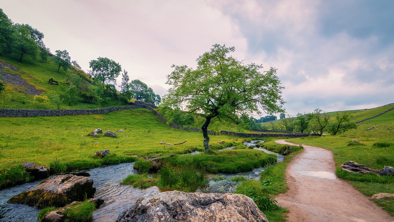 malham dales del yorkshire panorama 1