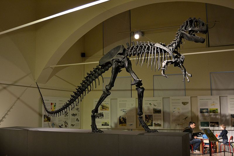 museo scienze naturali bergamo
