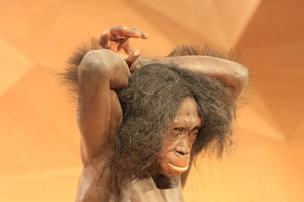 neanderthal museum