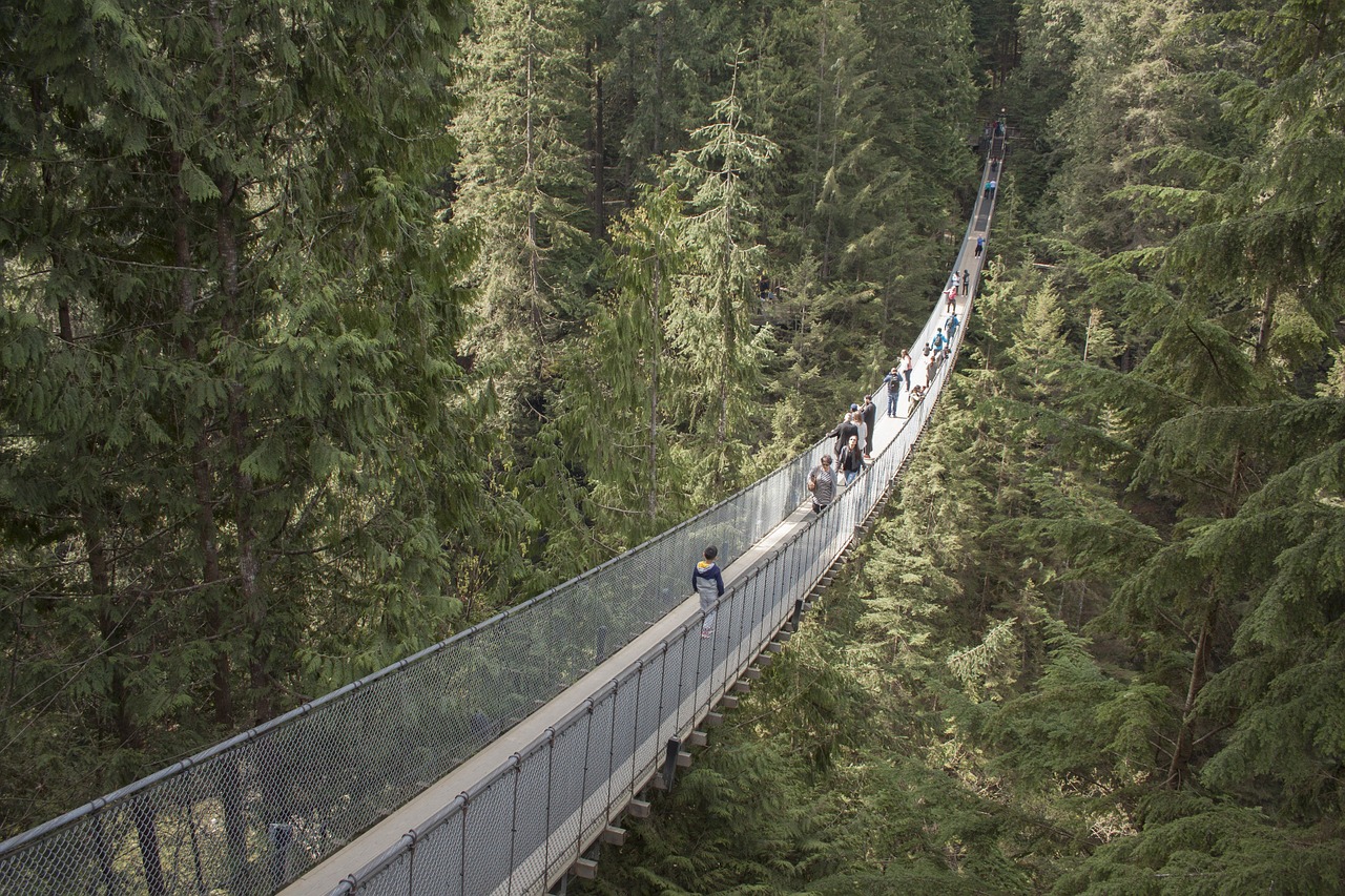 ponte sospeso capilano vancouver