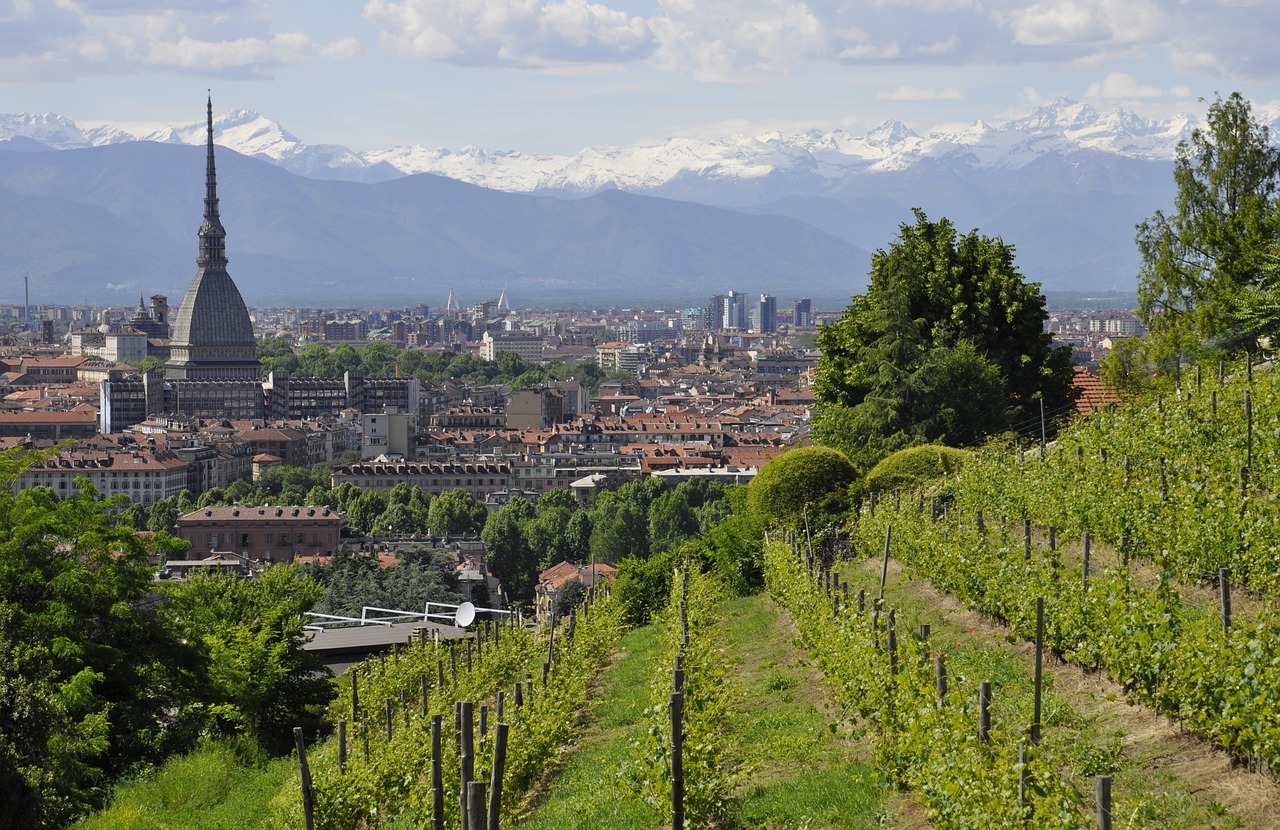 torino mole antonelliana panorama 1