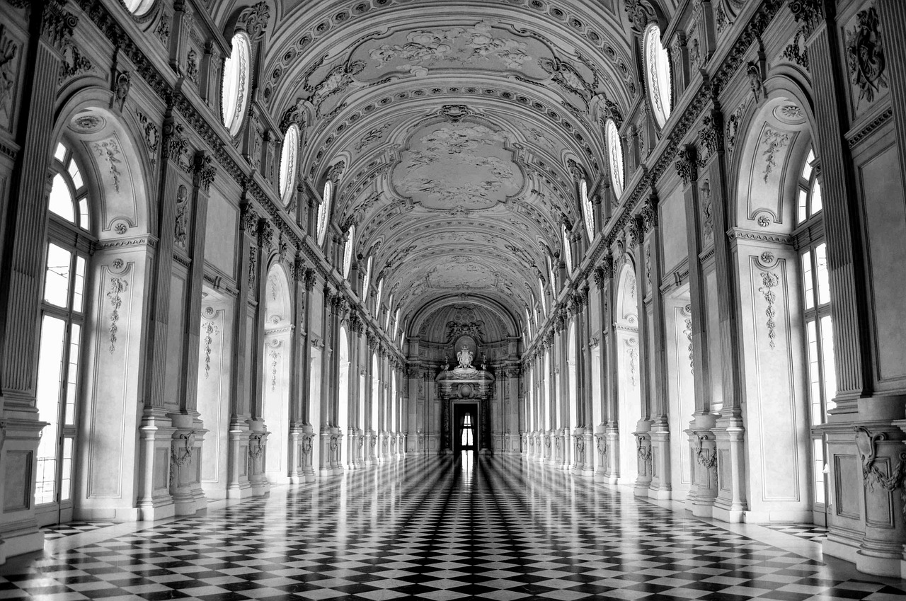 venaria reale