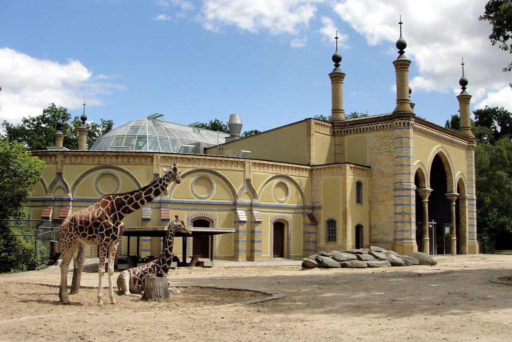 zoologico berlim berlin zoo